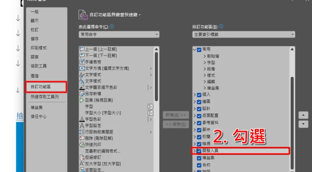 在自訂功能區選項中，勾選並啟用「開發人員」標籤頁。