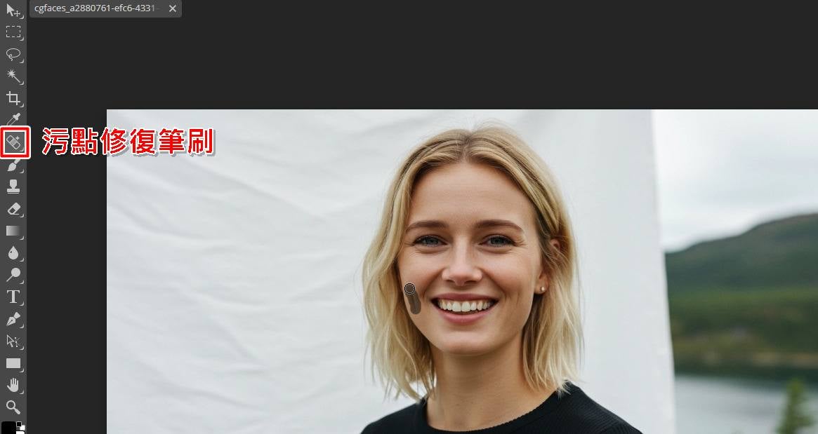 Photopea 污點修復筆刷去除照片瑕疵。