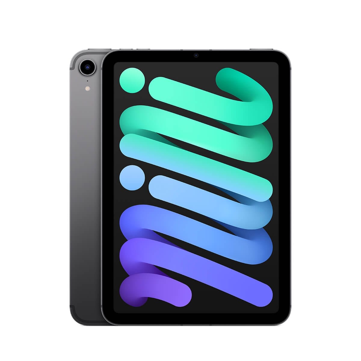 apple-iPad mini (2021) lte-gray