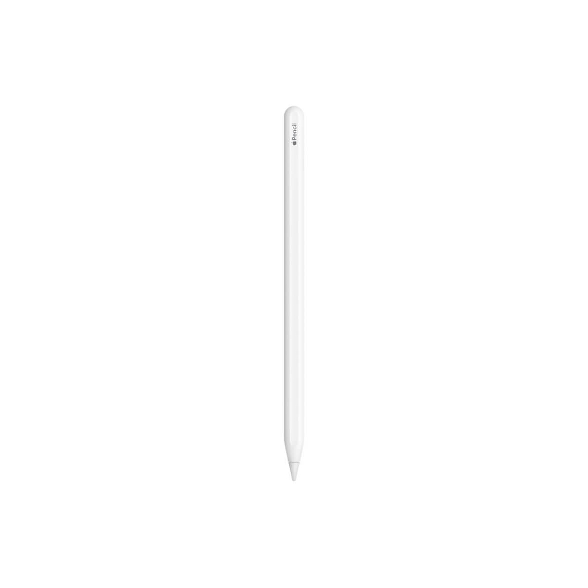 Apple Pencil (第2代) 觸控筆產品圖，白色筆身直立呈現，圓柱造型，筆身印有 Apple Pencil 字樣，單支展示於白色背景