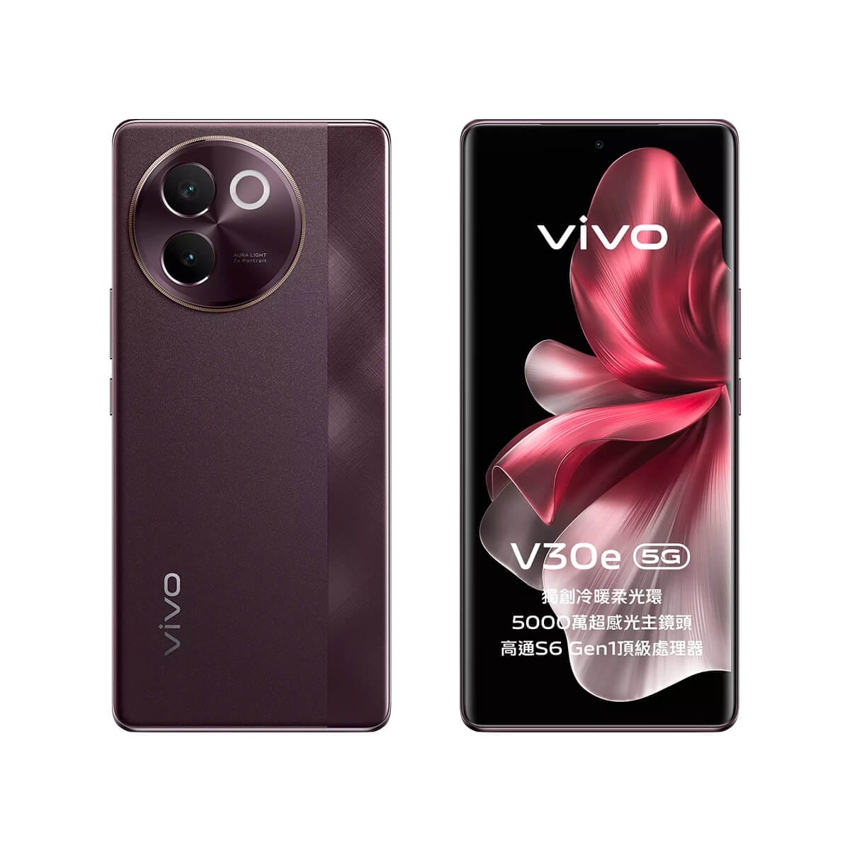 vivo-v30e-brown
