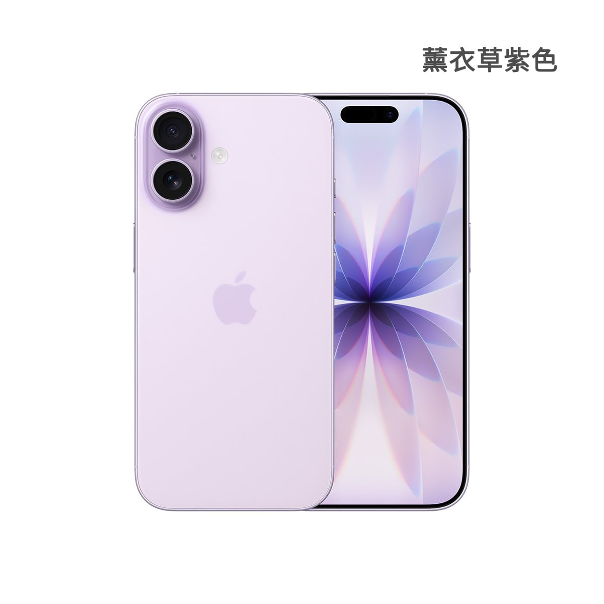 Apple iPhone 17 256GB 薰衣草紫色正反面外觀圖