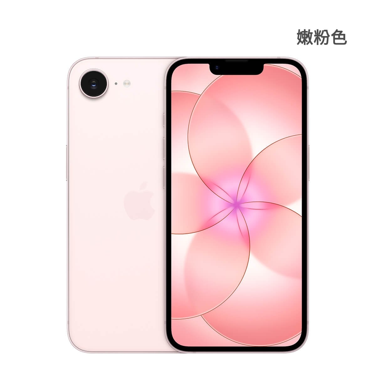 Apple iPhone 17e 256G 嫩粉色正反面外觀圖
