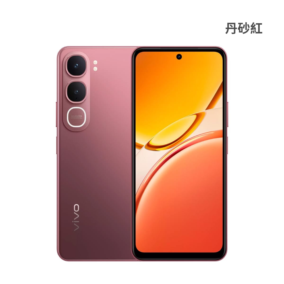 vivo Y31 (8G/256G) 手機展示圖，丹砂紅色正反面外觀圖