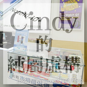 感謝✿Cindy的純屬虛構推薦