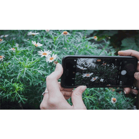 【手機專知】什麼是微距鏡頭？使用的效果為何？