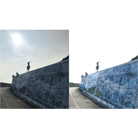 【科技新知】教你解決iPhone 12上傳影片到臉書、IG會「過曝/過亮」問題！