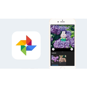 【科技新知】「Google相簿」實用功能介紹：自動幫你辨識花草植物、動物和食物！