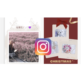 【科技新知】一鍵免費套用模板！精選2款「IG貼文/限時動態排版」App推薦