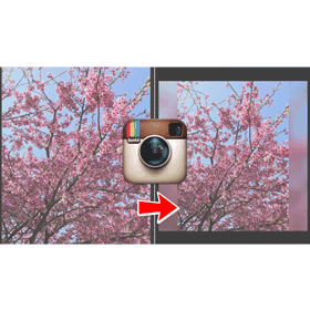 【科技新知】如何將Instagram(IG)貼文圖片轉為正方形？