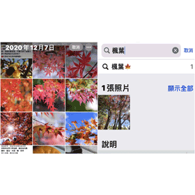 【手機專知】iPhone如何增加照片文字說明/關鍵字?搜尋技巧教學