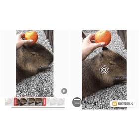 【APP推薦】「intoLive」幫你把iPhone影片轉成「原況照片」！一鍵快速轉換Live Photo