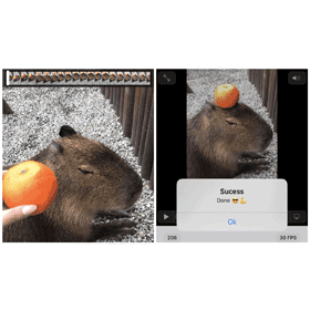 【手機專知】iPhone如何從影片截取高畫質照片？教你這方法搞定！