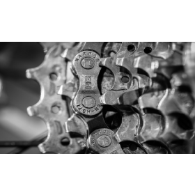 【汽車專知】變速箱是什麼？手排、自排差在哪？