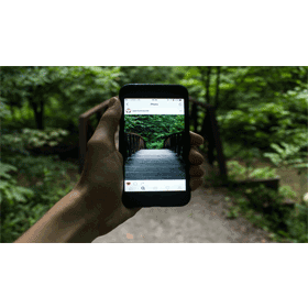 【科技新知】Instagram (IG)突然不能打字？3方法快速解決！