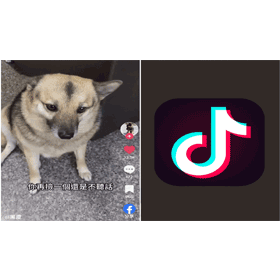 【科技新知】抖音如何查看按讚的影片？TikTok按讚紀錄公開/隱藏教學