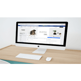【科技新知】FB臉書限動3招實用技巧！留言/新增音樂/查看歷史限時動態