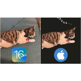 【手機專知】iPhone照片如何快速去背？內建功能1秒搞定！