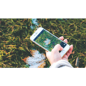 【手機專知】iPhone照片App怎麼建立相簿？如何加入照片或分享？