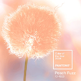 【快訊】Pantone 2024 年代表色登場！Motorola也推限定合作款手機