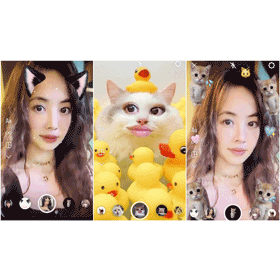 【科技新知】貓咪日IG限動濾鏡特效6款推薦！Q萌貓耳/迷因貓貓梗圖一次打包！