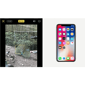 【手機專知】iPhone錄好的影片如何關閉「電影級模式」？