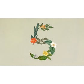 【AI專知】Claude Sonnet 5 登場：性能更強大，4 大亮點一次看！